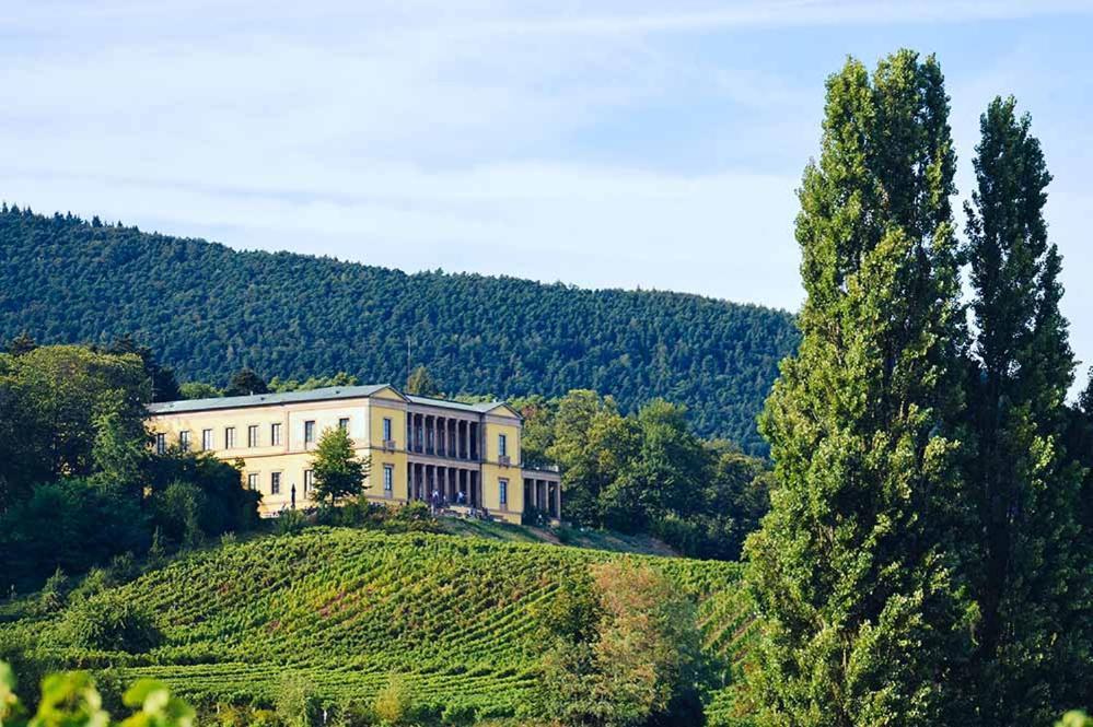 Pfalz-Dorfhaus Burrweiler Εξωτερικό φωτογραφία